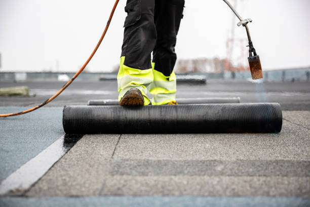 Best Roof Insulation Installation  in Taunton, MA